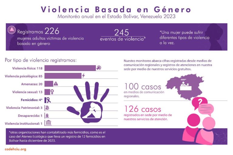 Al menos 226 mujeres fueron víctimas de violencia de género en Bolívar según monitoreo de Codehciu